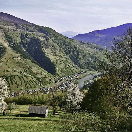 Dream Hostel Carpathians Rachiv Esterno foto