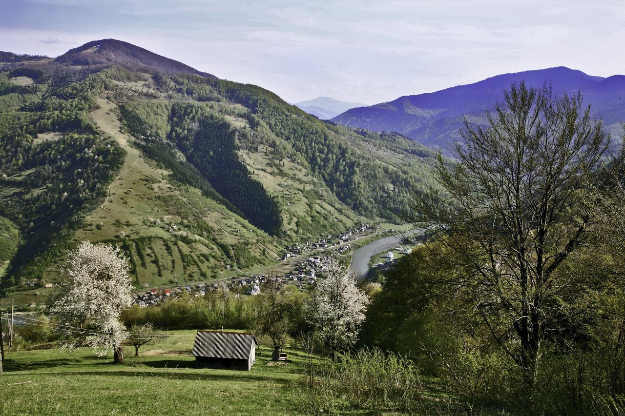 Dream Hostel Carpathians Rachiv Esterno foto